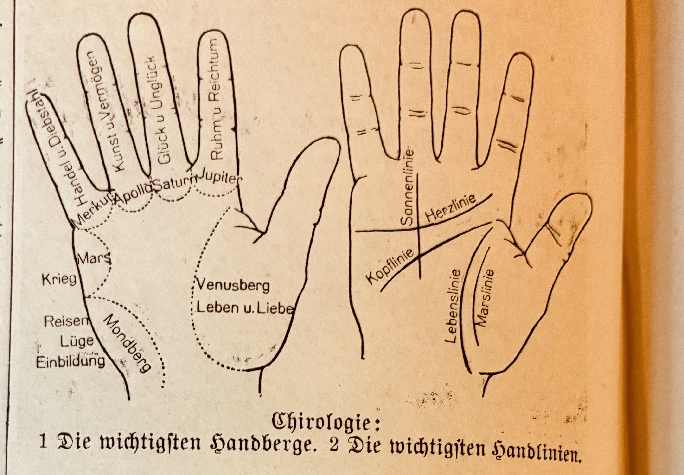 Handlesen bei „Frl. Luft“ -Tagebucheintrag 18.8.1934